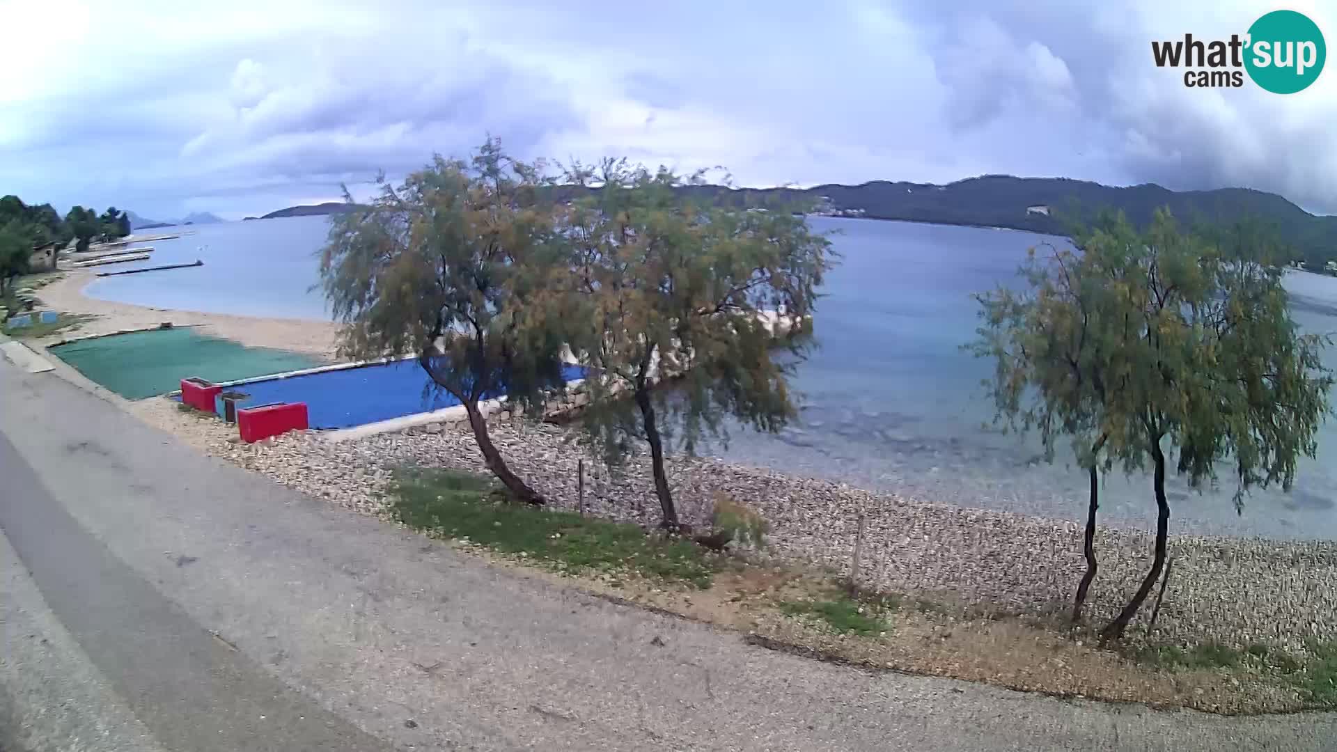 Webcam Viganj – Pelješac –  Antony-Boy Autocamp