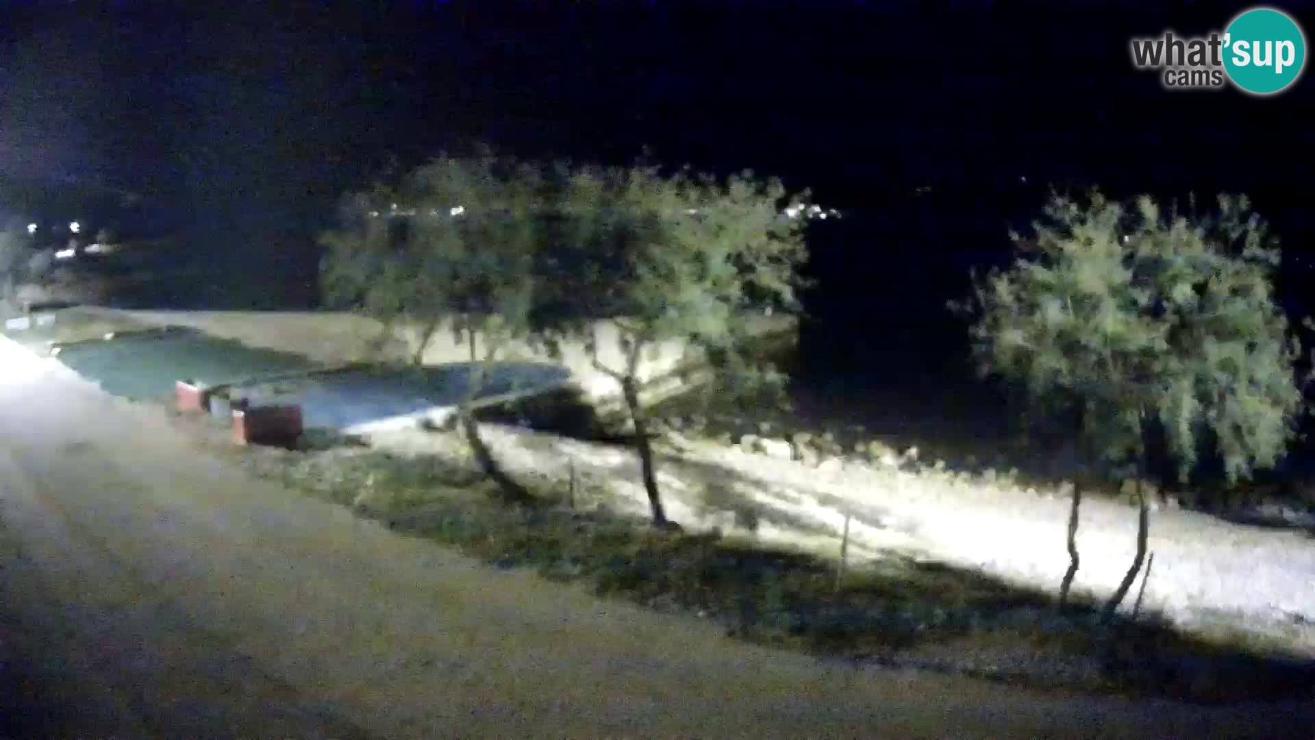 Live Cam Viganj – Pelješac – Campeggio Antony-Boy
