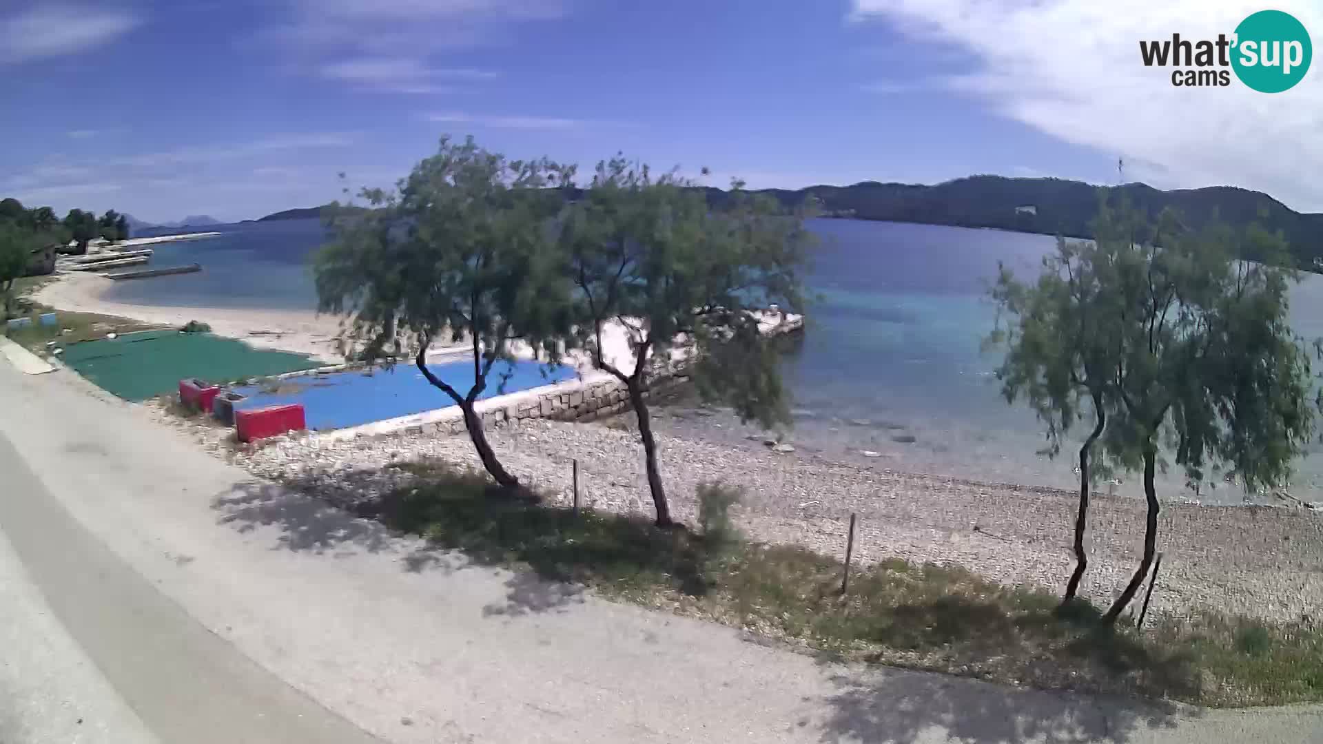 Live Webcam Viganj – Pelješac – view from Antony-Boy Autocamp
