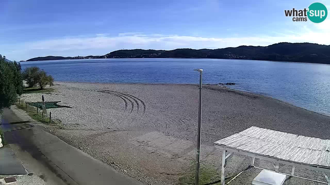 Webcam Viganj – Pelješac Live