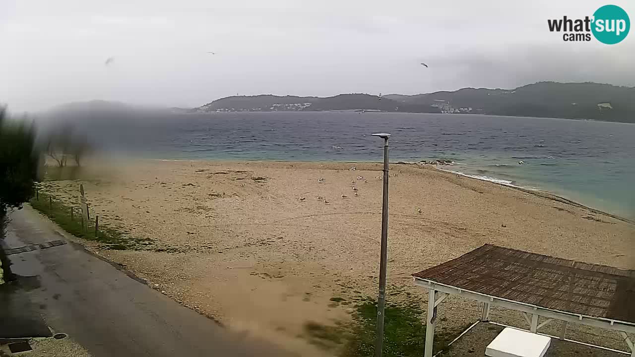 Webcam Viganj – Pelješac Live