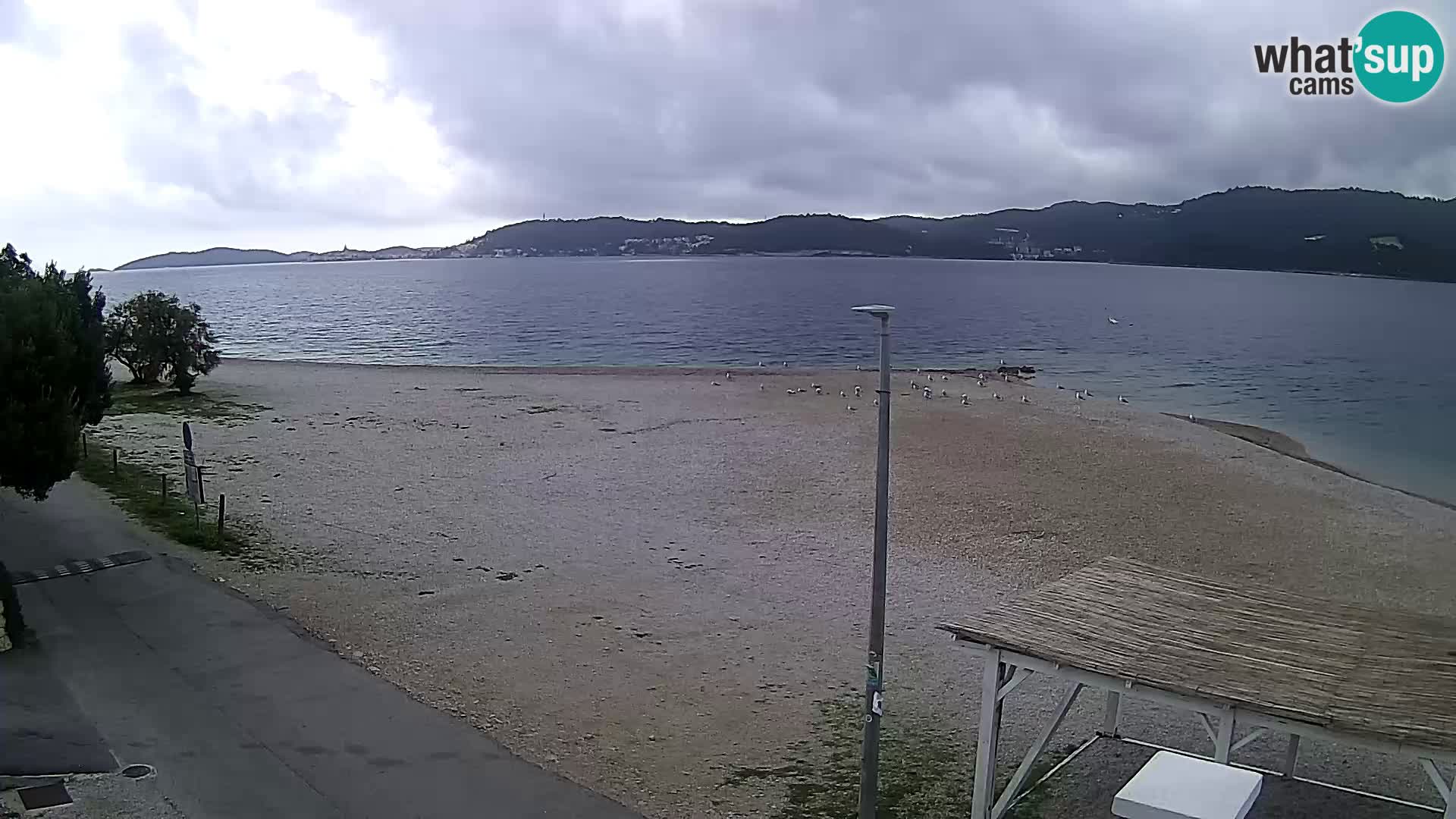 Webcam Viganj – Pelješac Live