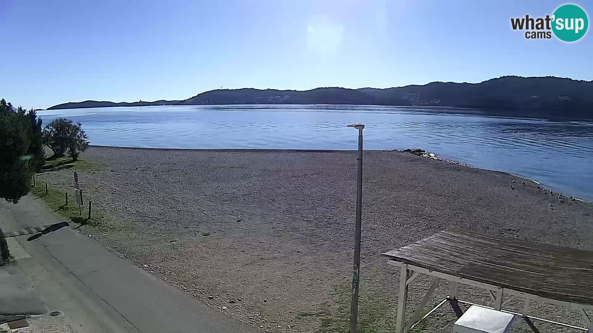 Live kamera Viganj – Pelješac u živo