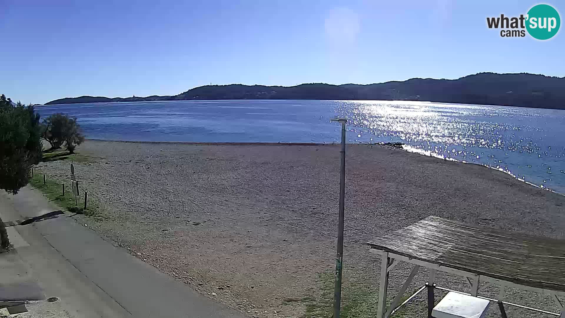 En vivo Viganj – Pelješac camera en vivo