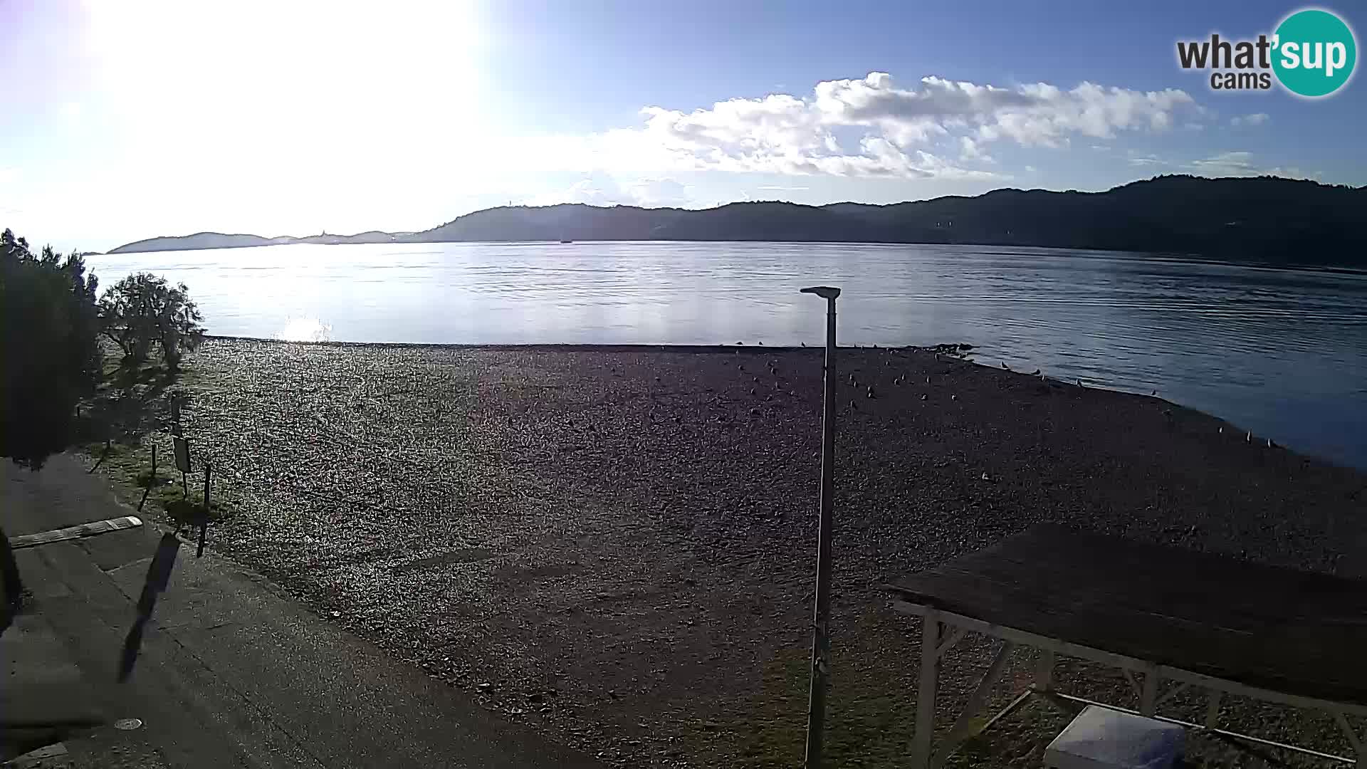 Webcam Live Viganj – Pelješac webcam