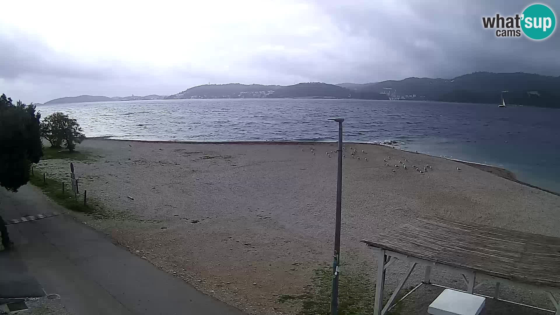 Webcam Viganj – Pelješac Live