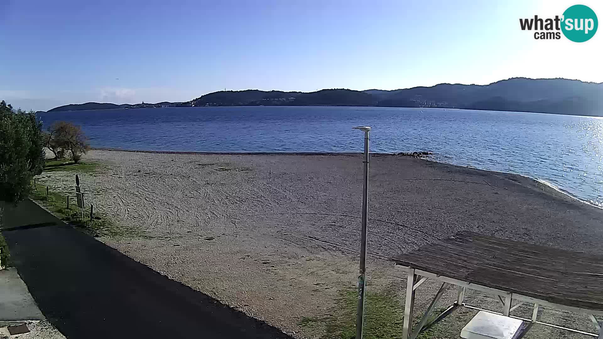 Webcam Viganj – Pelješac livecam
