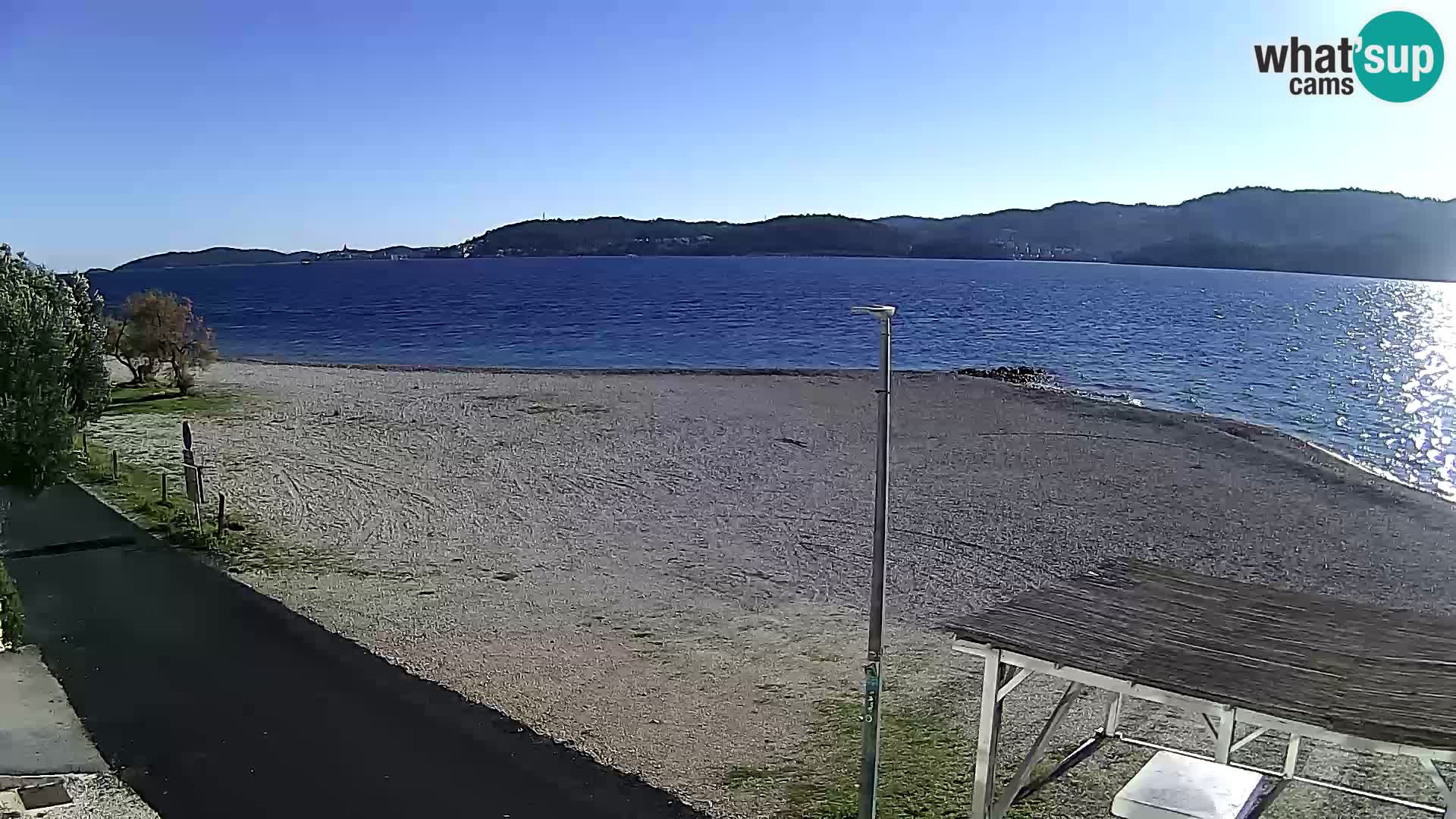 Webcam Viganj – Pelješac livecam