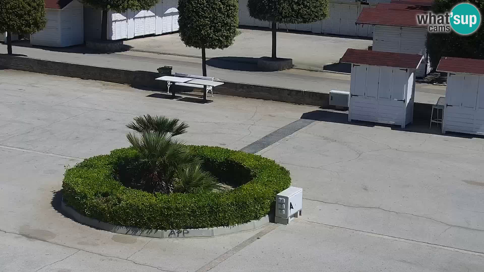 Vir – Plaza Sv. Jurja