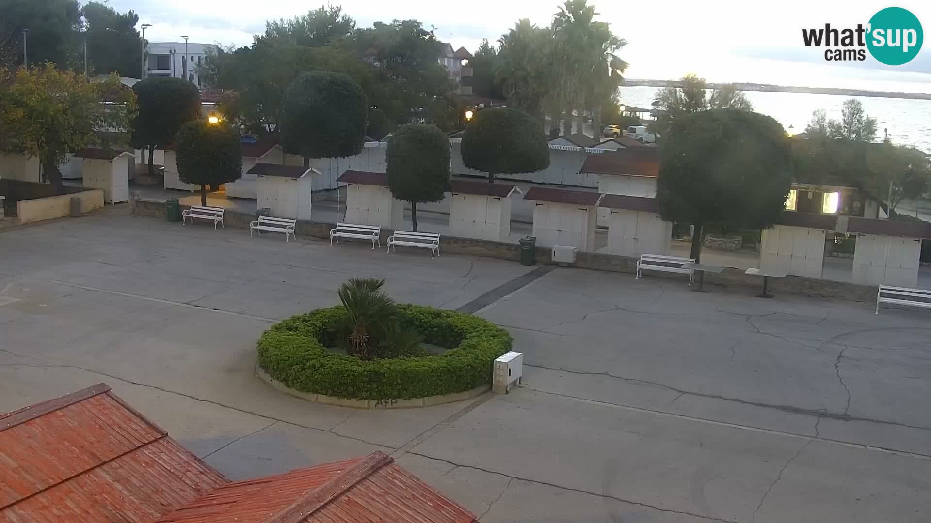 Webcam - Vir (Vir)