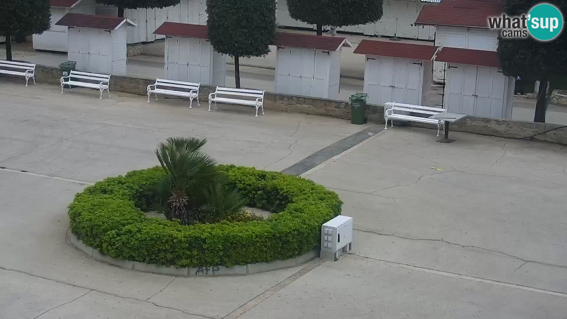 Kamera na żywo - Vir (Vir)