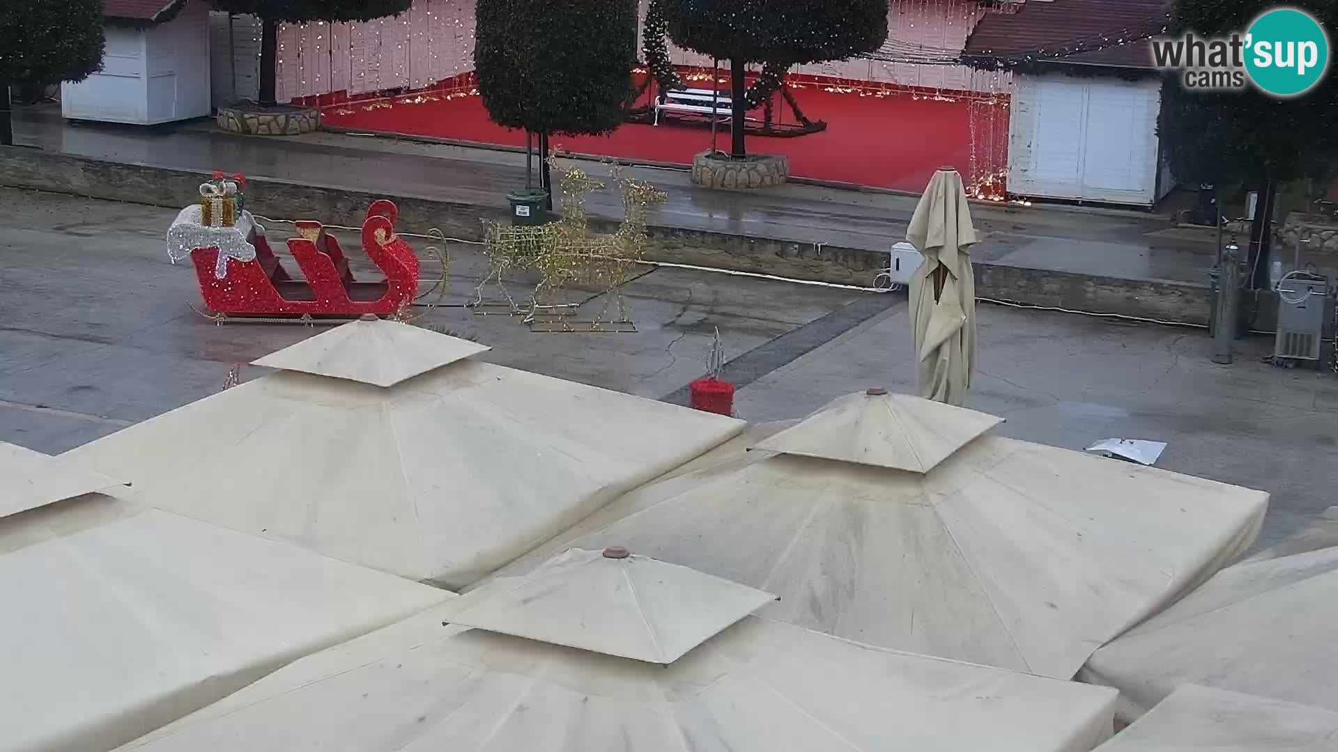 Kamera na żywo - Vir (Vir)