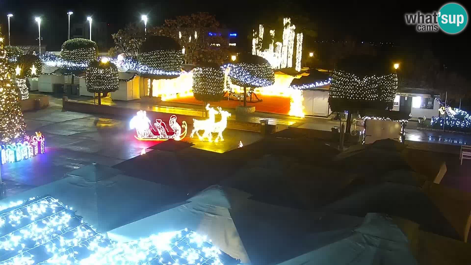 Kamera na żywo - Vir (Vir)