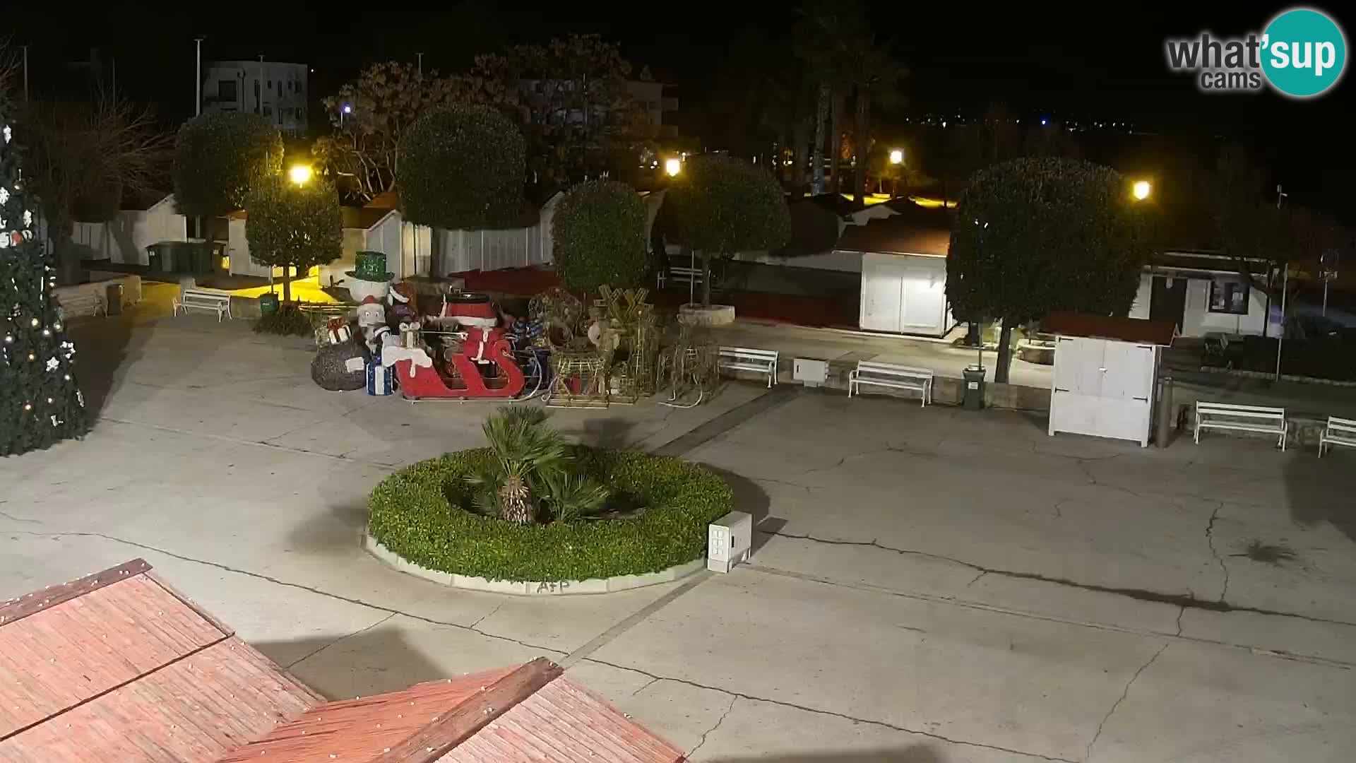 Web camera - Vir (Vir)