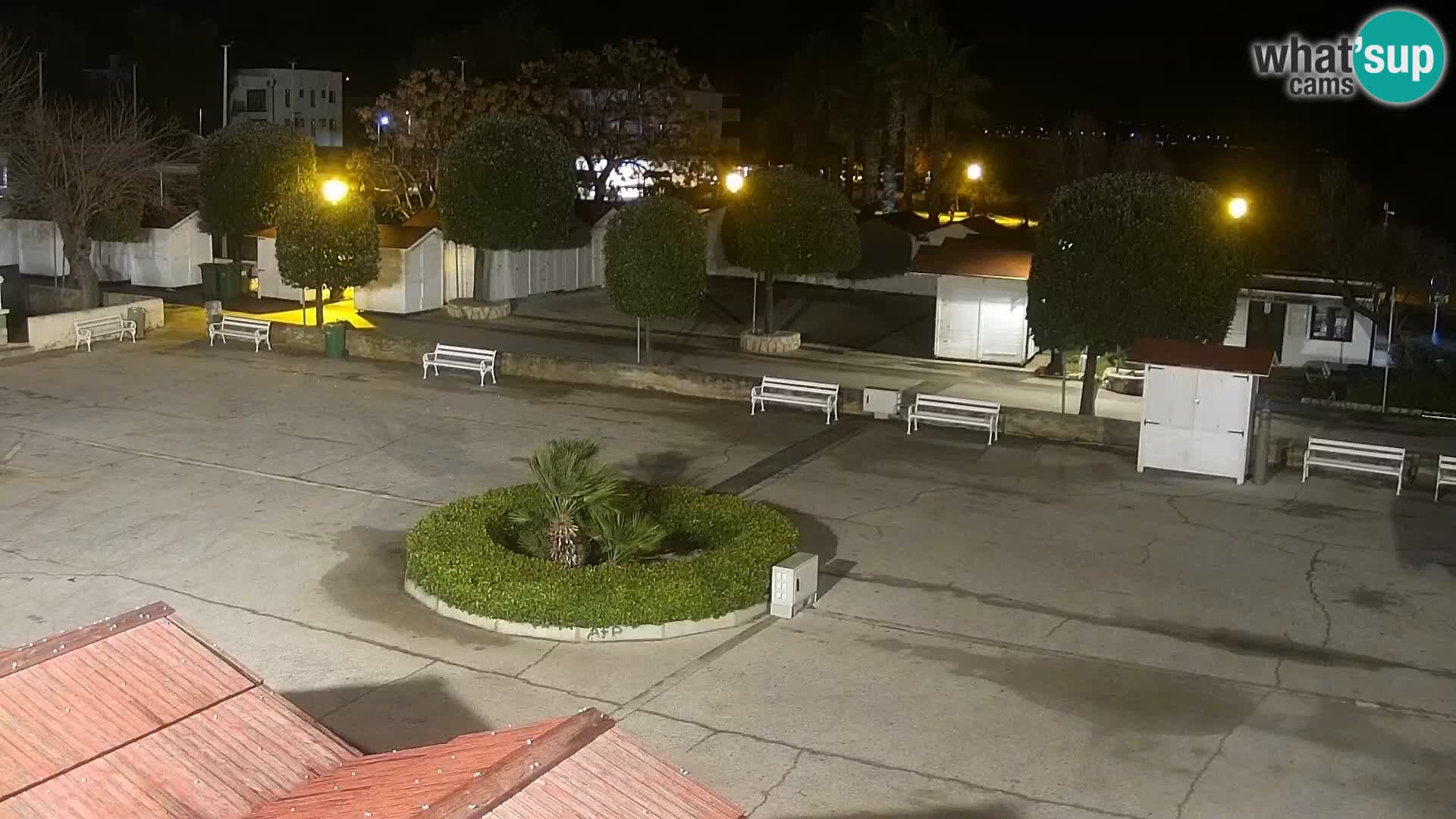 Kamera na żywo - Vir (Vir)