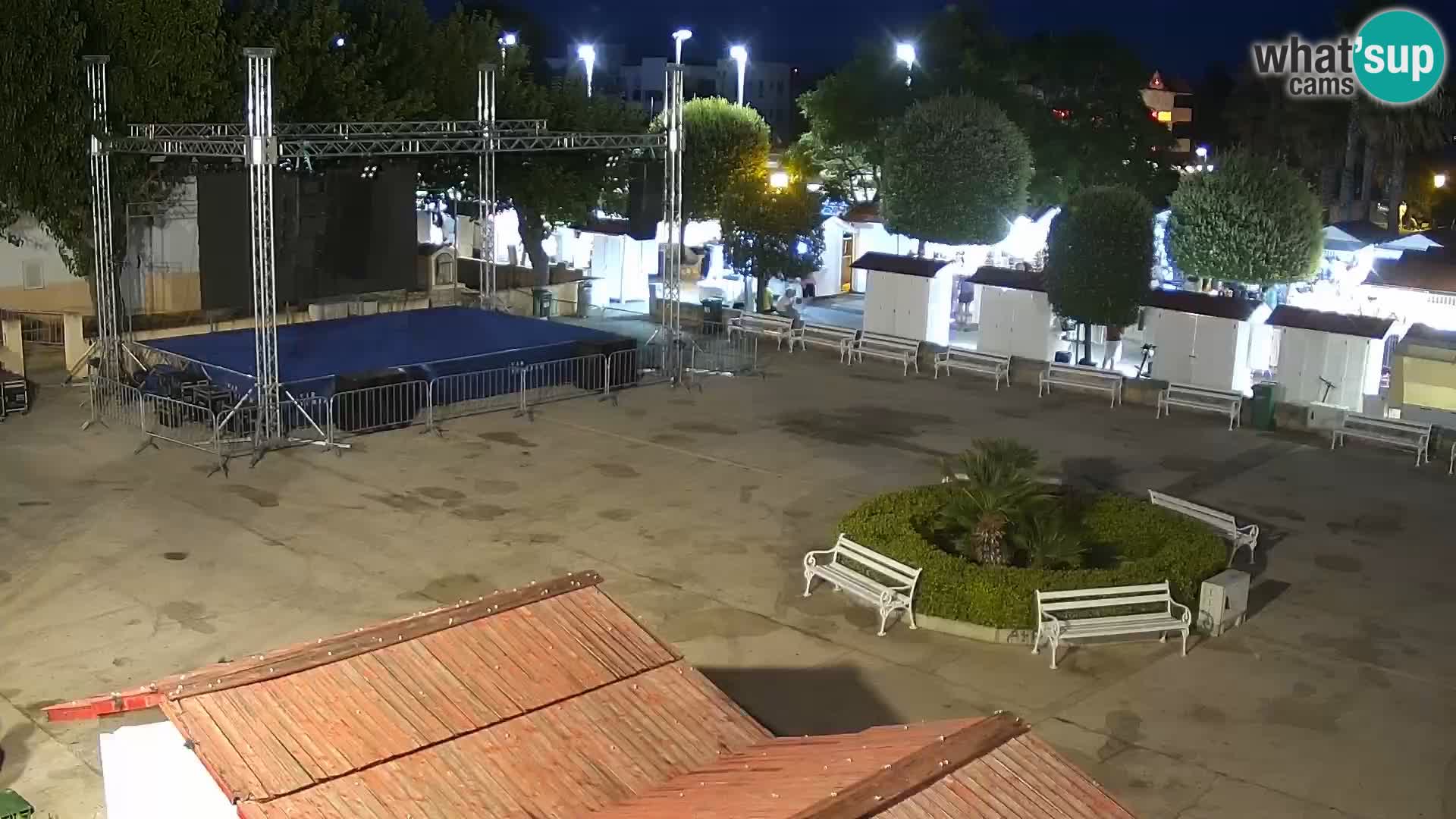 Webcam - Vir (Vir)
