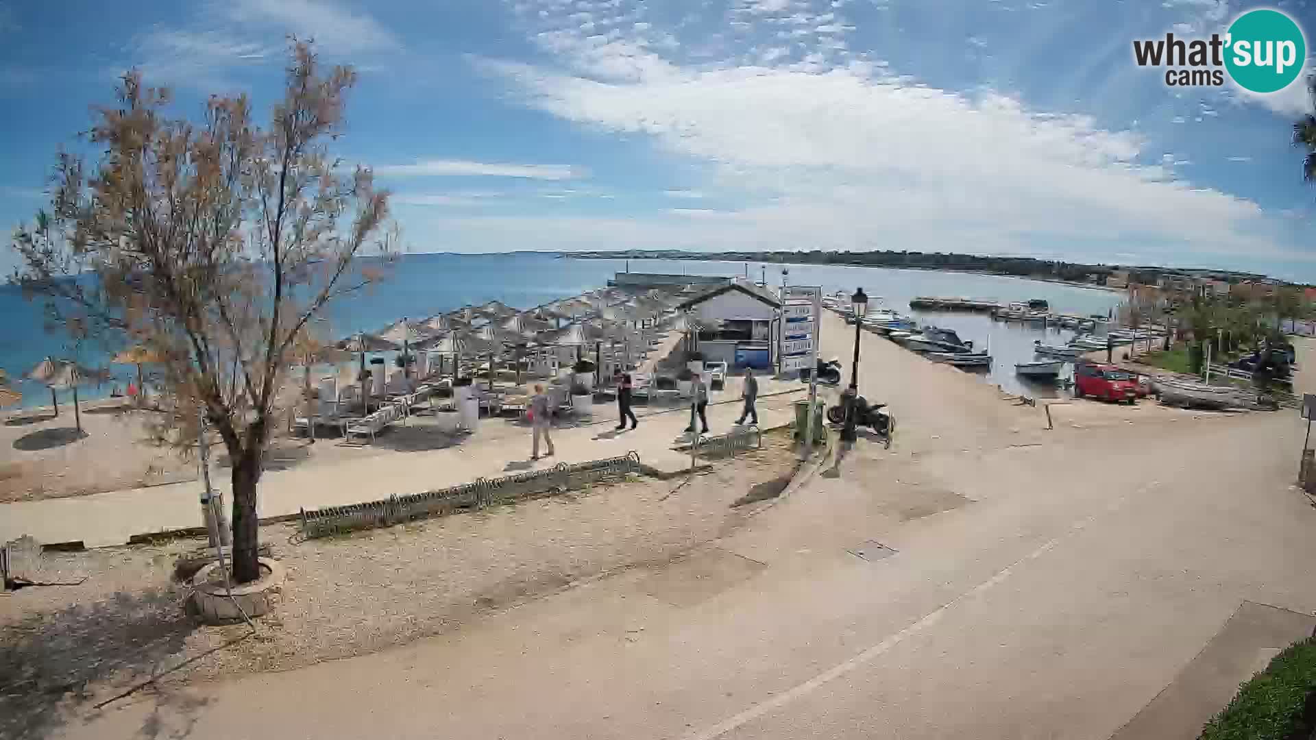 Vir LIVE webcam – Beach – Dalmatia – Croatia