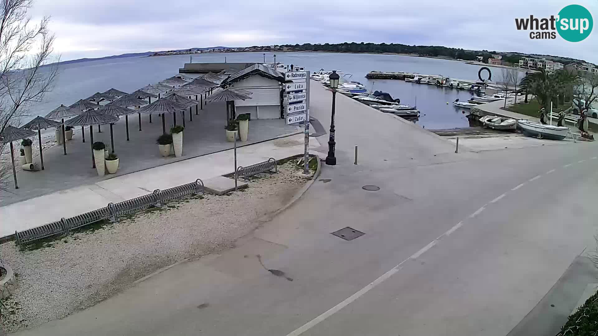 Vir LIVE webcam – Beach – Dalmatia – Croatia