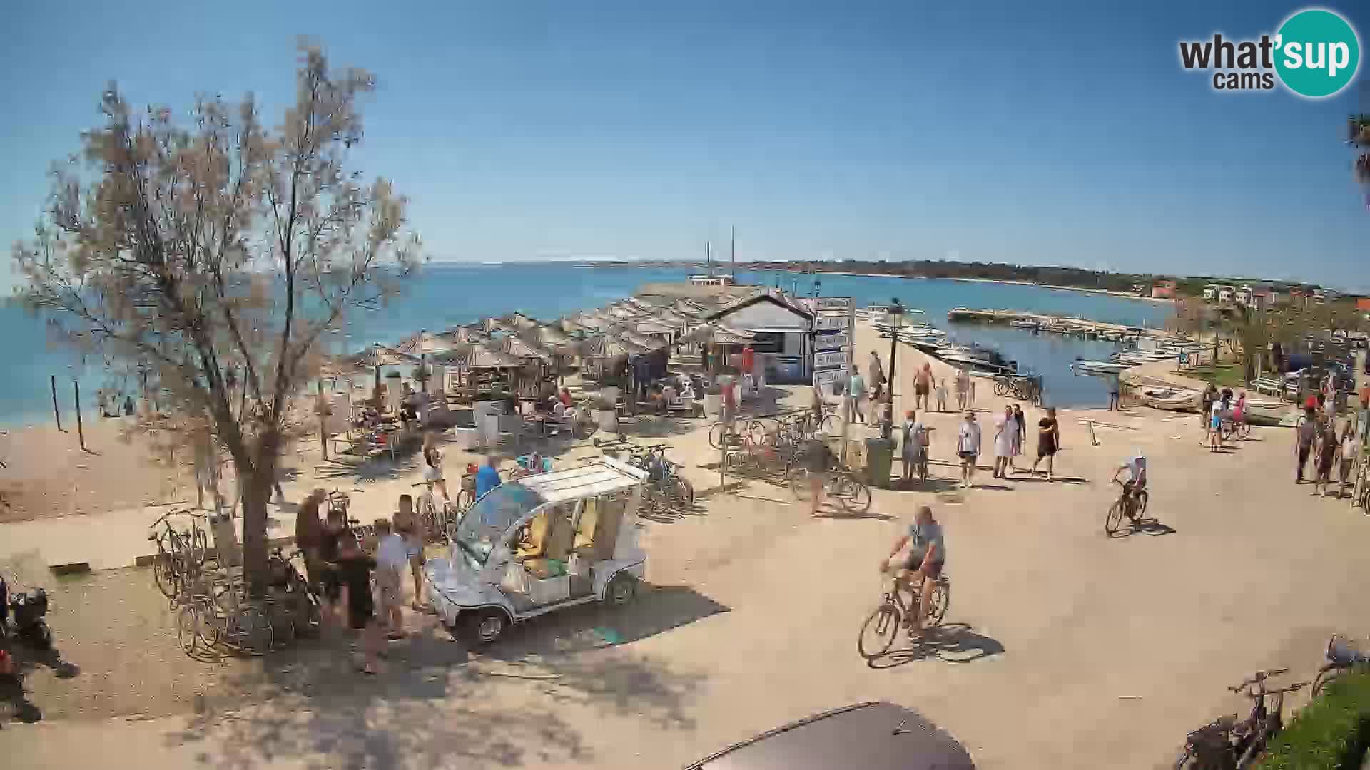 Vir LIVE webcam – Beach – Dalmatia – Croatia