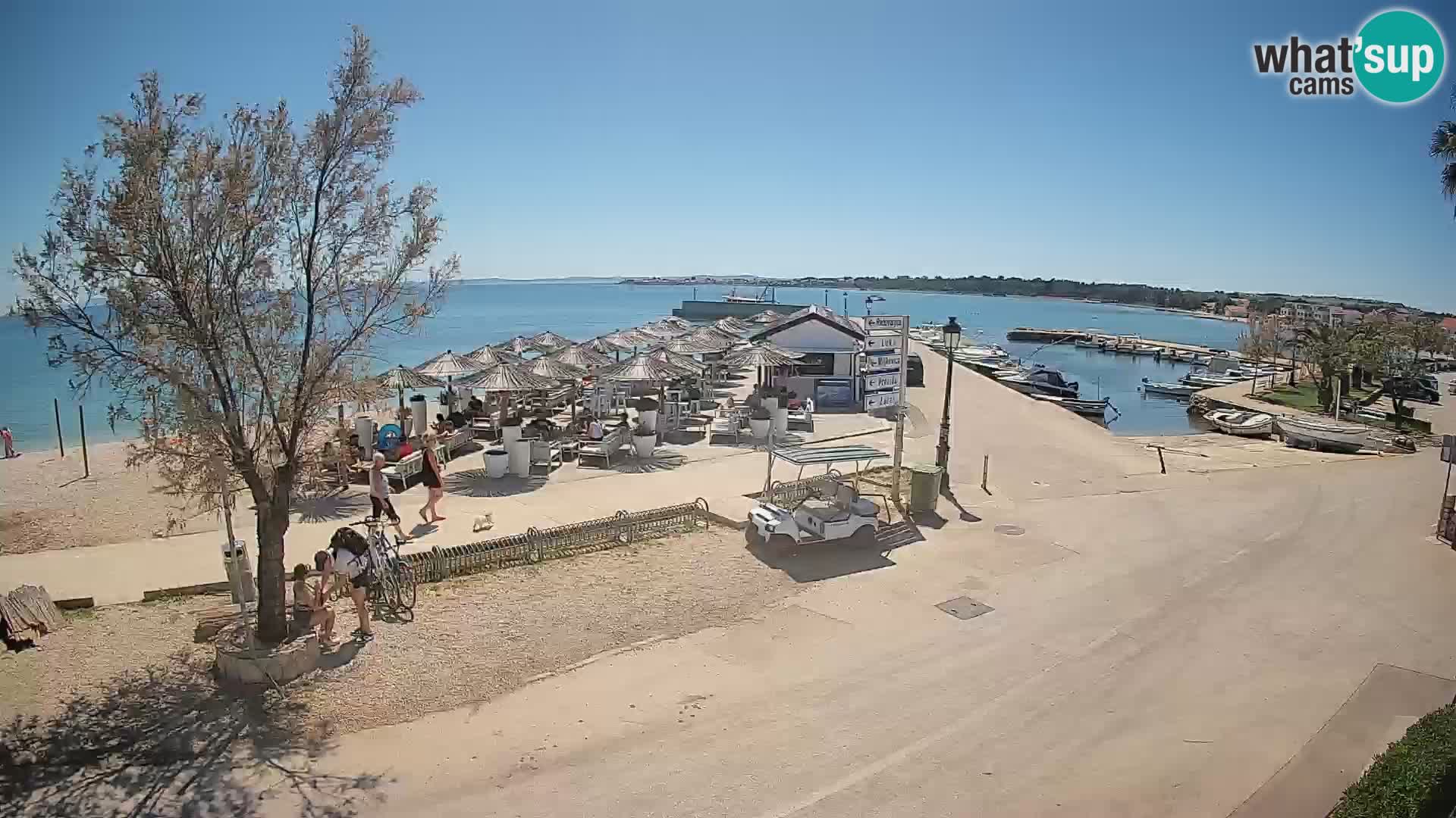 Vir LIVE webcam – Beach – Dalmatia – Croatia