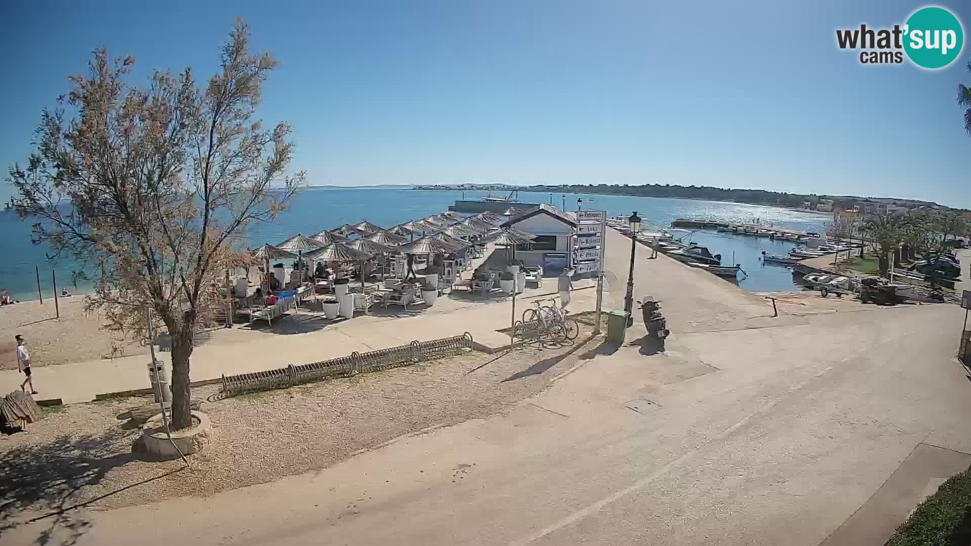 Vir LIVE webcam – Beach – Dalmatia – Croatia