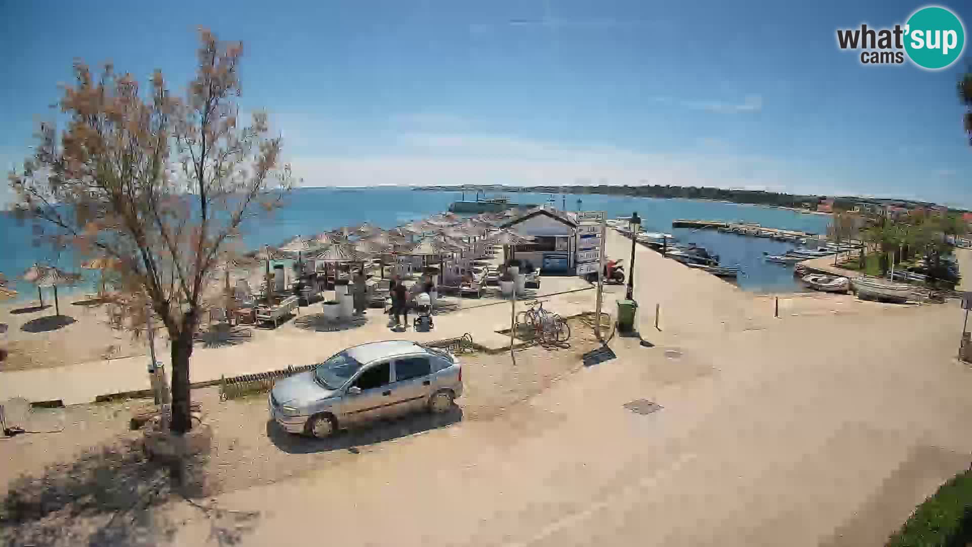 Vir LIVE webcam – Beach – Dalmatia – Croatia