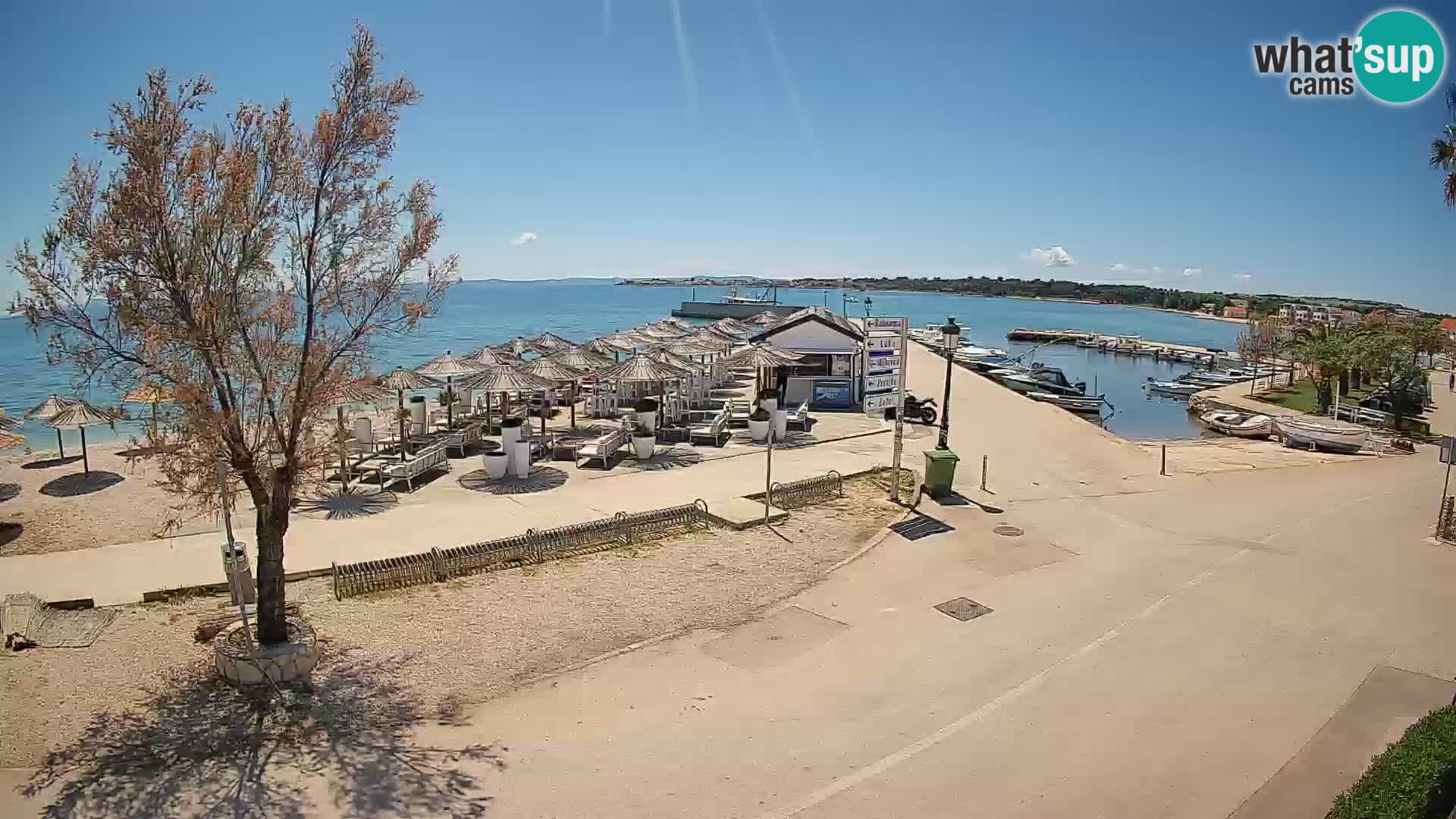 Vir LIVE webcam – Beach – Dalmatia – Croatia