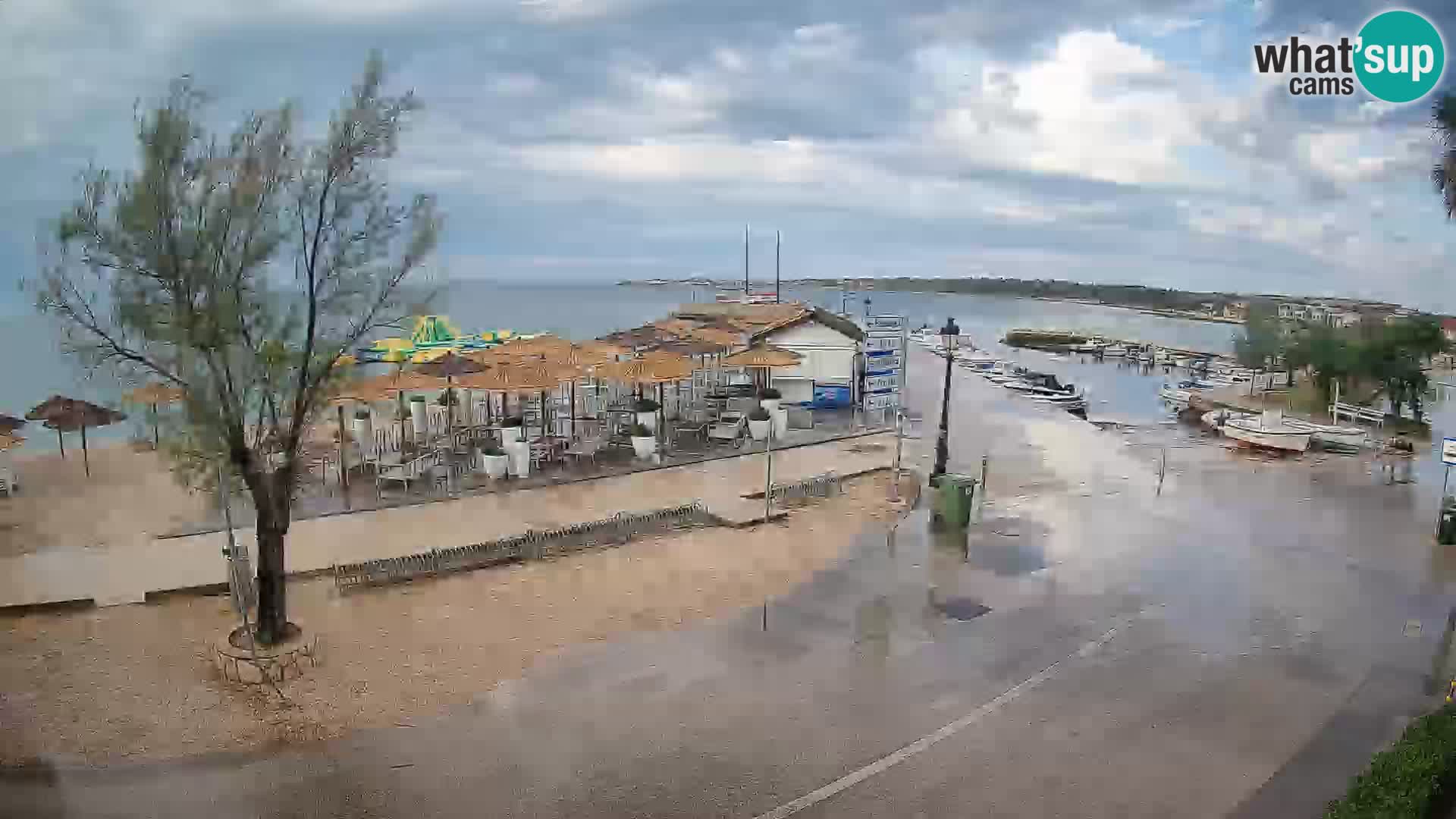 Vir LIVE webcam – Beach – Dalmatia – Croatia