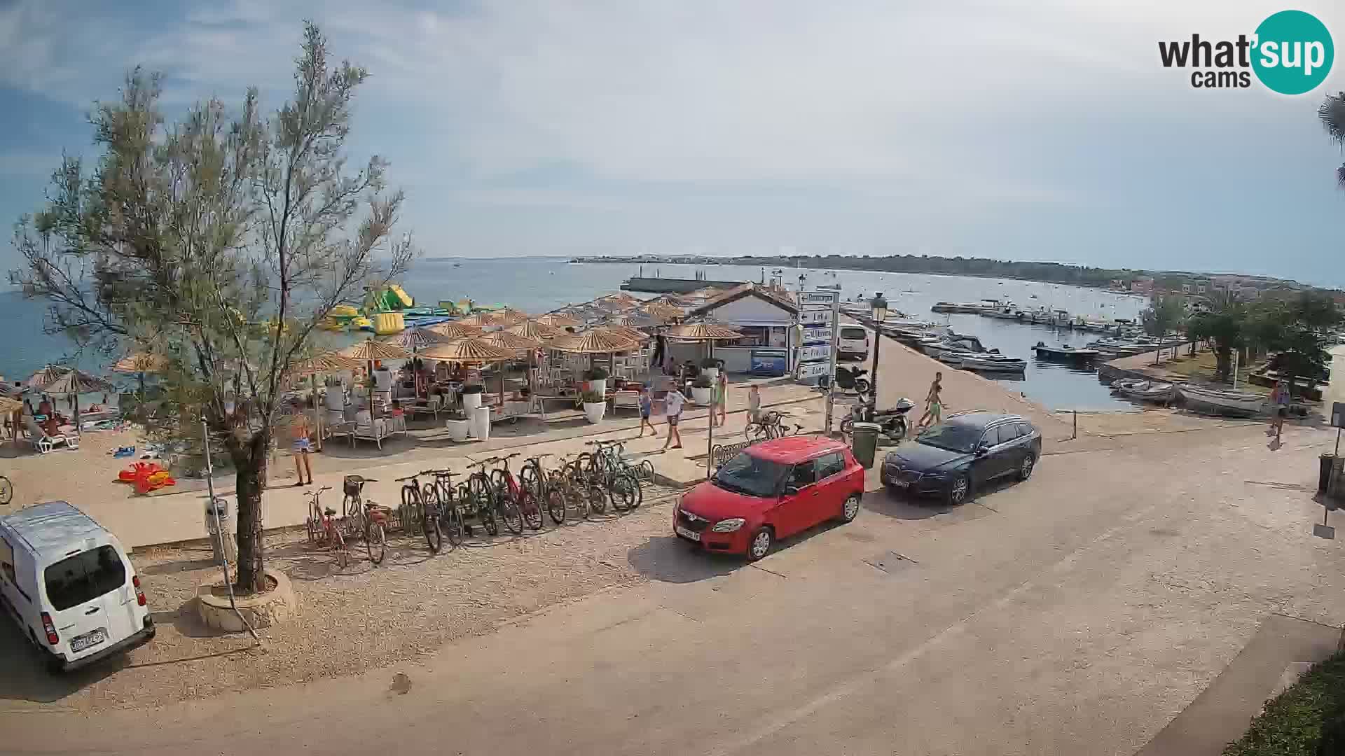 Vir LIVE webcam – Beach – Dalmatia – Croatia
