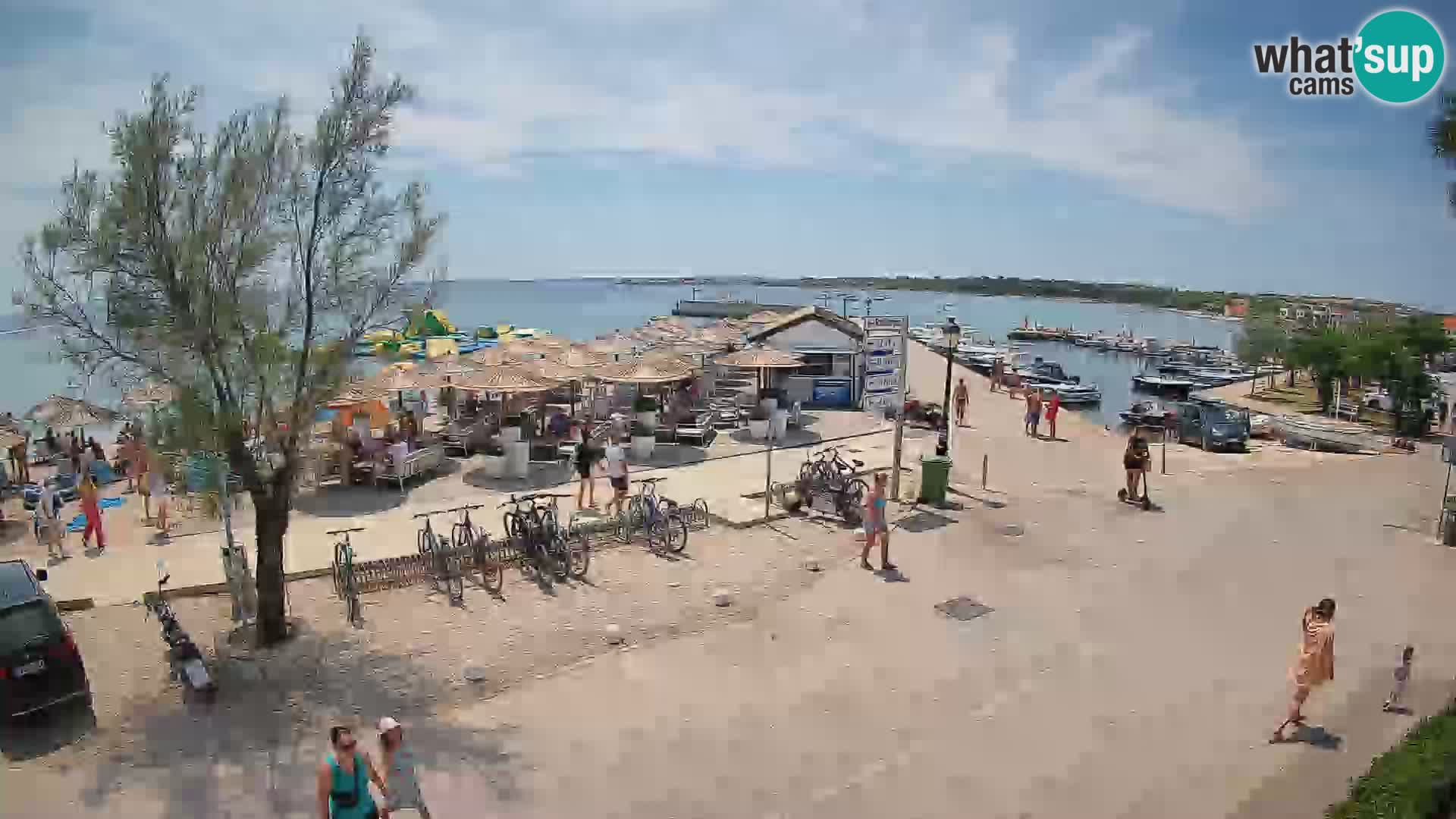 Vir LIVE webcam – Beach – Dalmatia – Croatia
