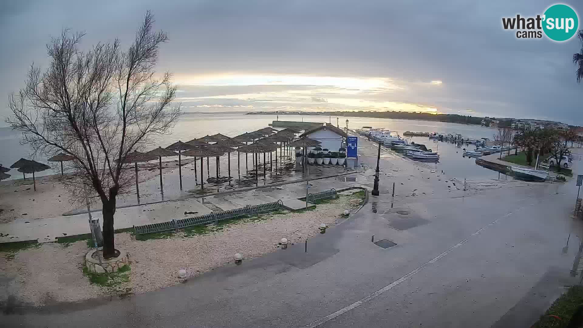 Vir LIVE webcam – Beach – Dalmatia – Croatia