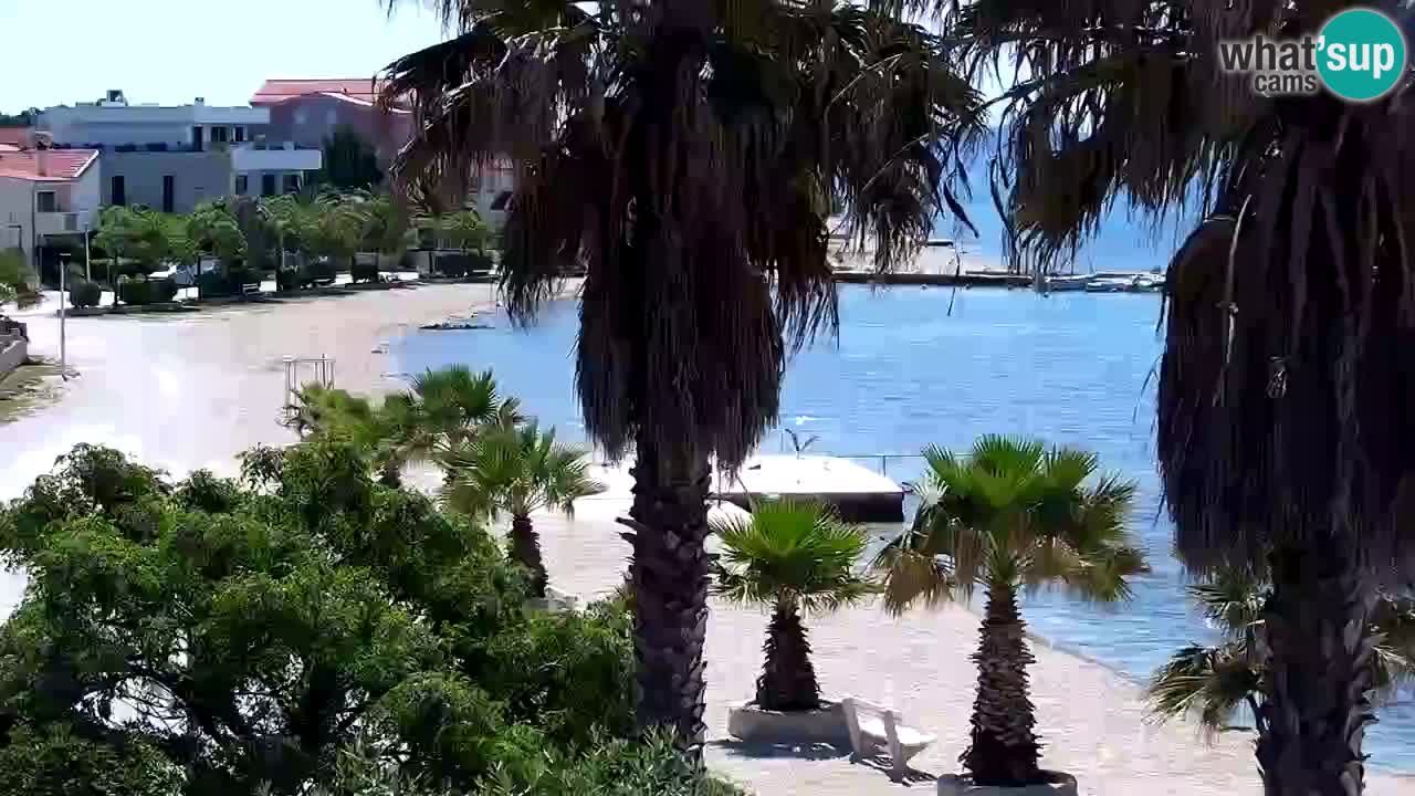 Live cam Vir – Plage
