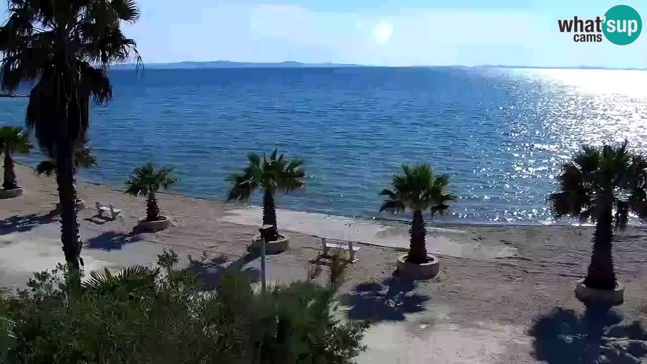 Live cam Vir – Plage