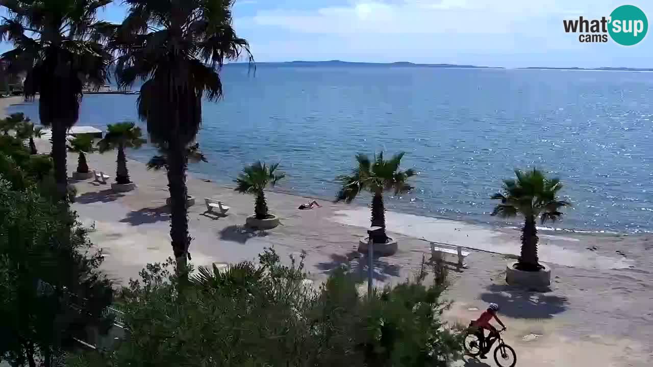 Live cam Vir – Plage