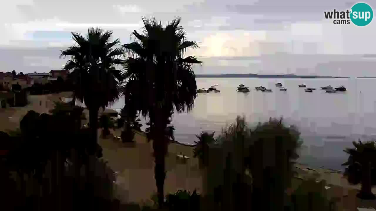 Livecam Vir beach – Dalmatia