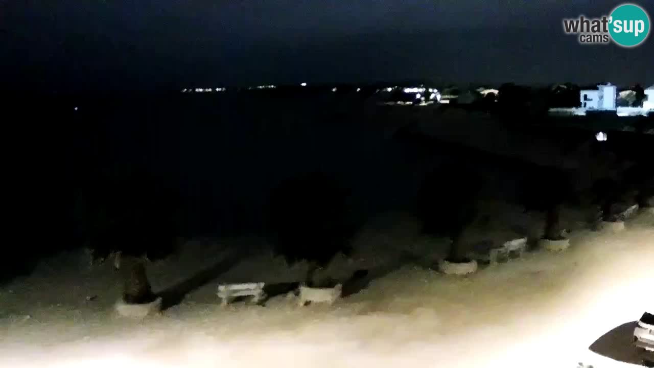 Livecam Vir beach – Dalmatia