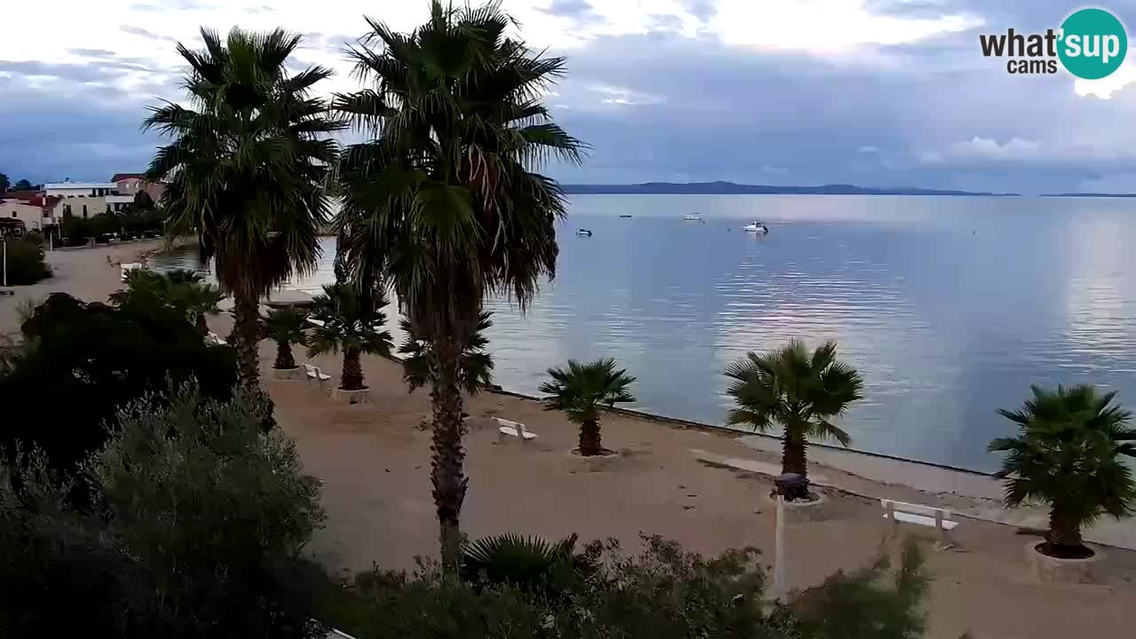 Livecam Vir beach – Dalmatia