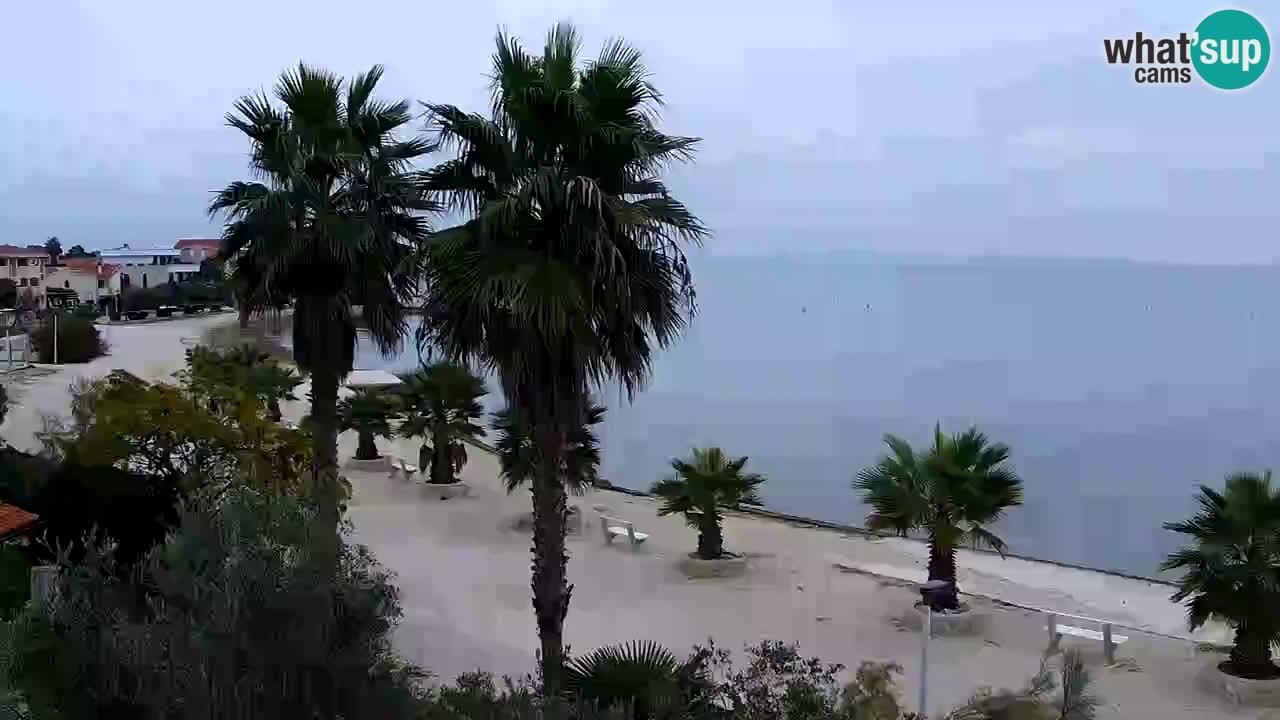 Livecam Vir beach – Dalmatia