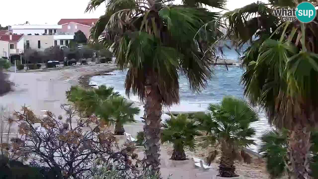 Livecam Vir beach – Dalmatia