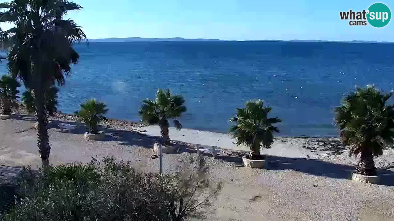 Livecam Vir beach – Dalmatia