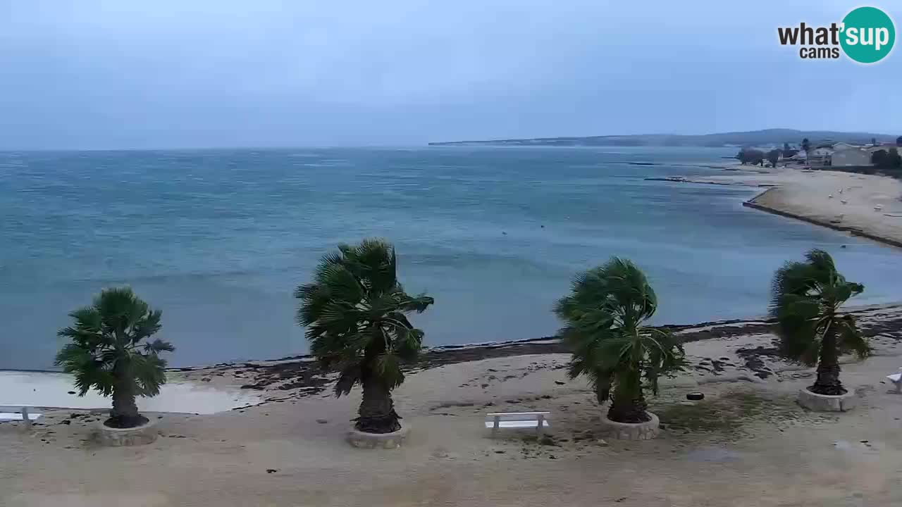 Livecam Vir beach – Dalmatia