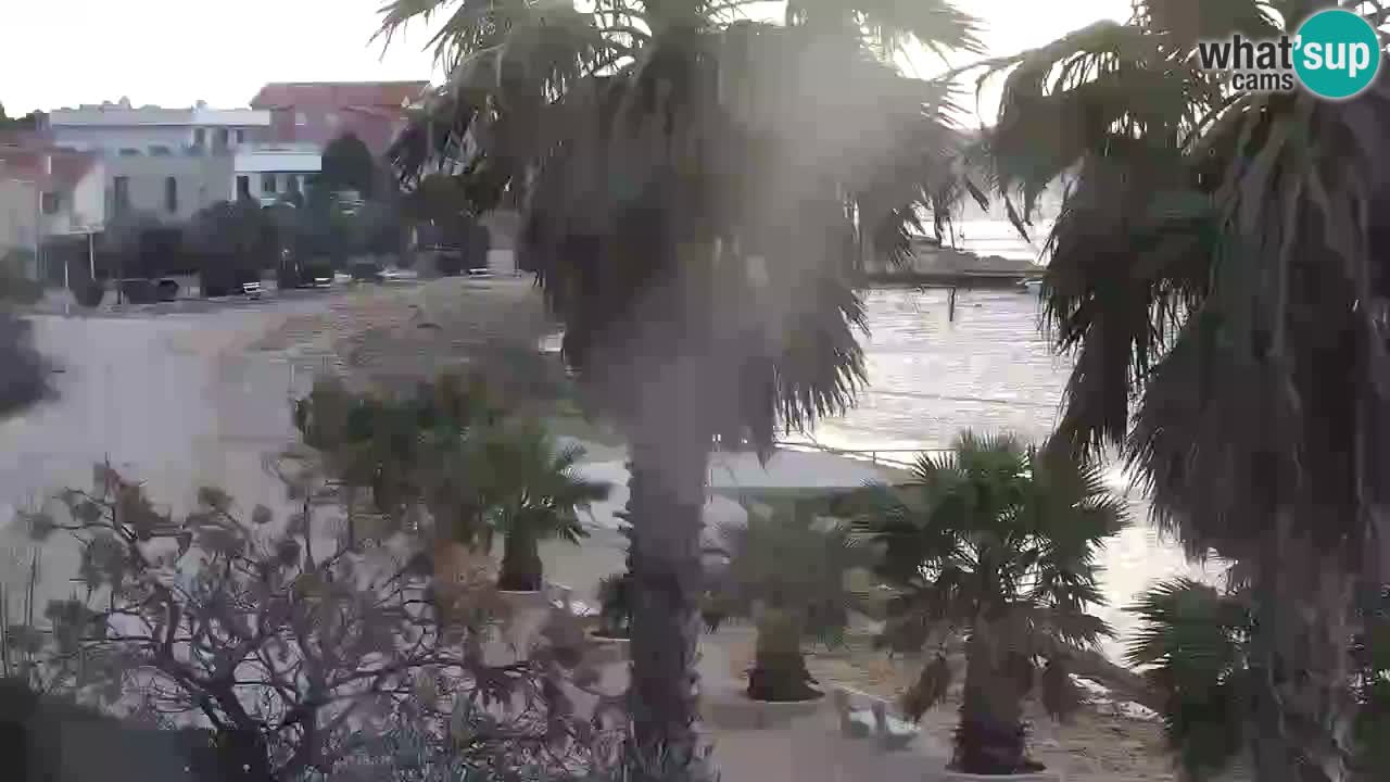 Livecam Vir beach – Dalmatia