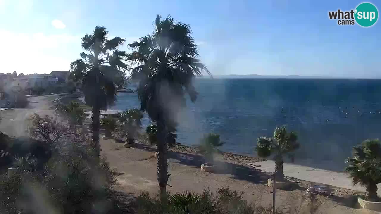 Livecam Vir beach – Dalmatia