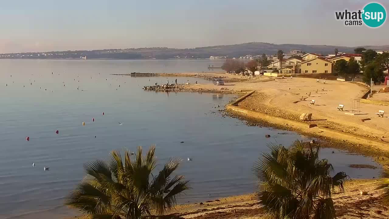 Livecam Vir beach – Dalmatia