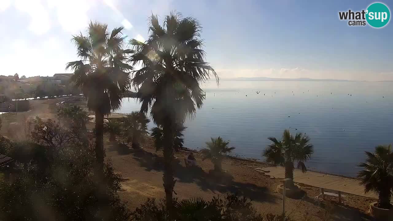 Livecam Vir beach – Dalmatia