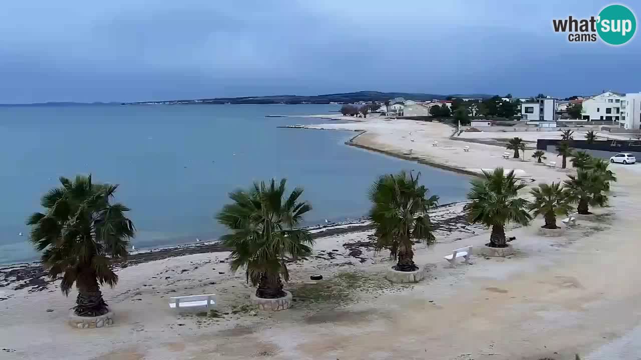 Livecam Vir beach – Dalmatia