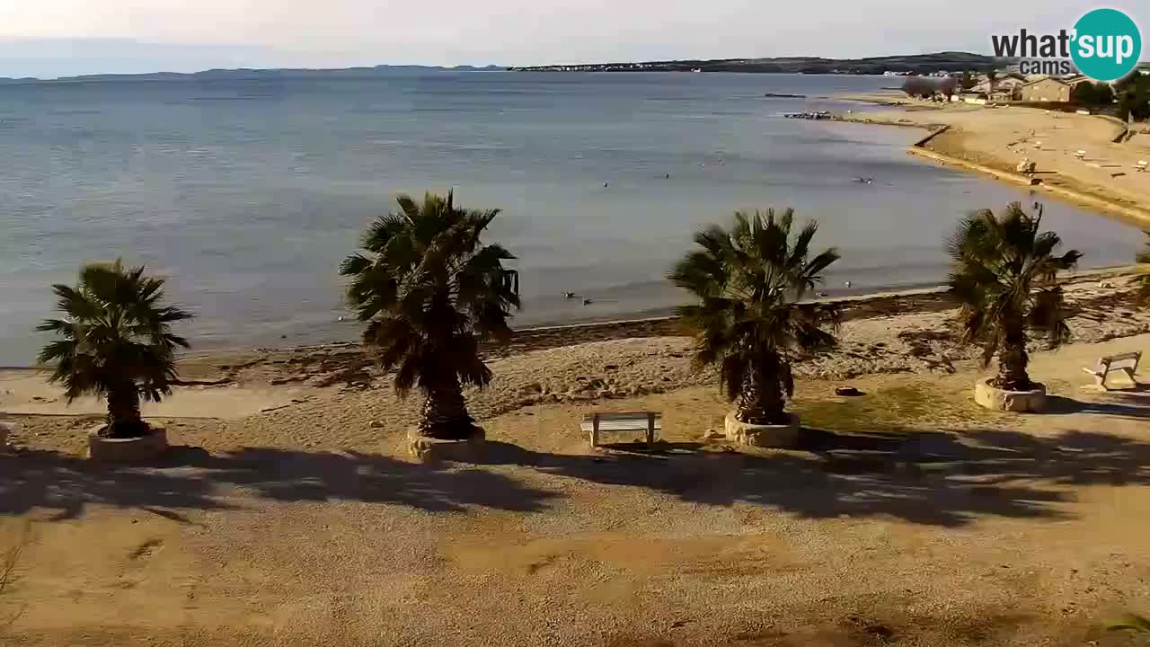 Livecam Vir beach – Dalmatia