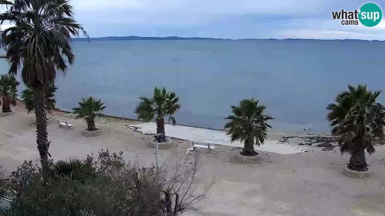 Livecam Vir beach – Dalmatia