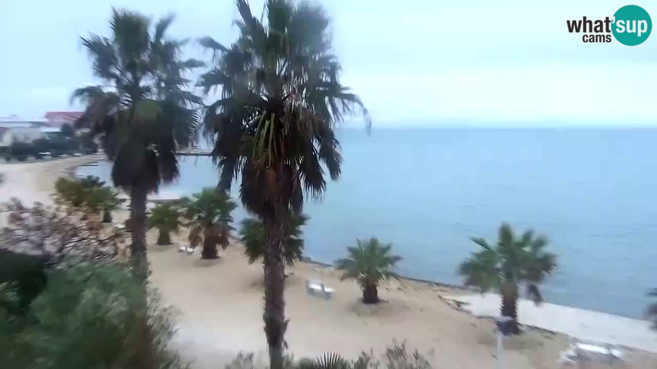 Livecam Vir beach – Dalmatia