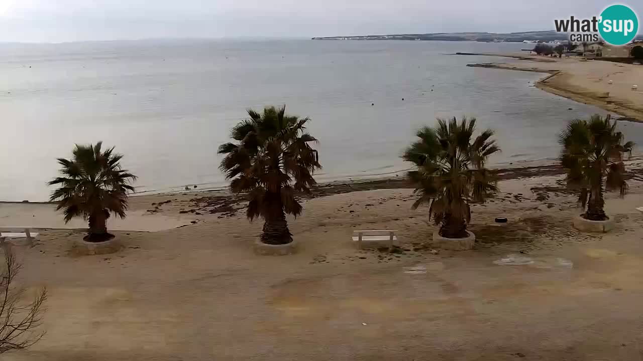 Livecam Vir beach – Dalmatia